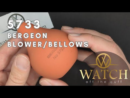 BERGEON 5733 Dust Blower with PVC Point
